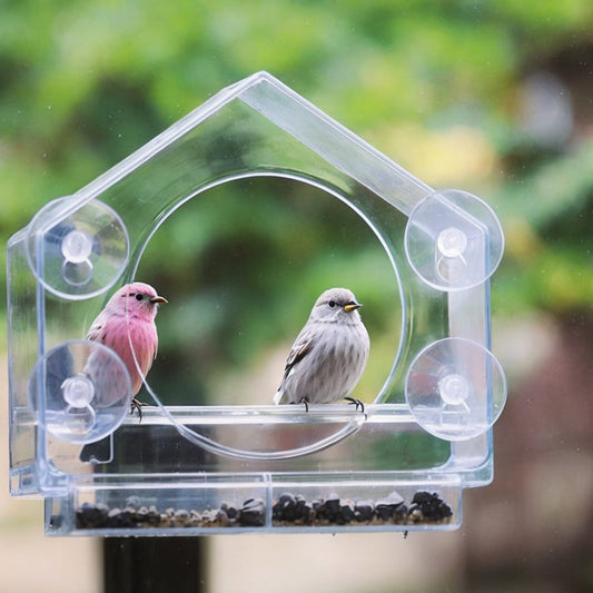 BirdTV™ Window Bird Feeder