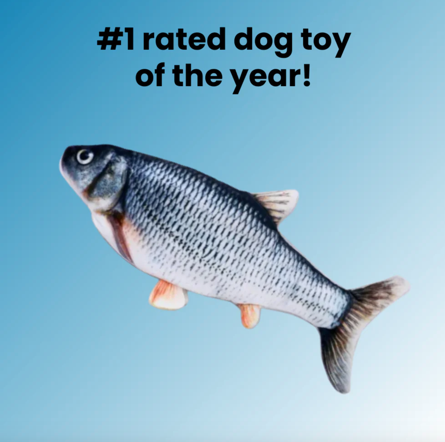 The Floppy Fish