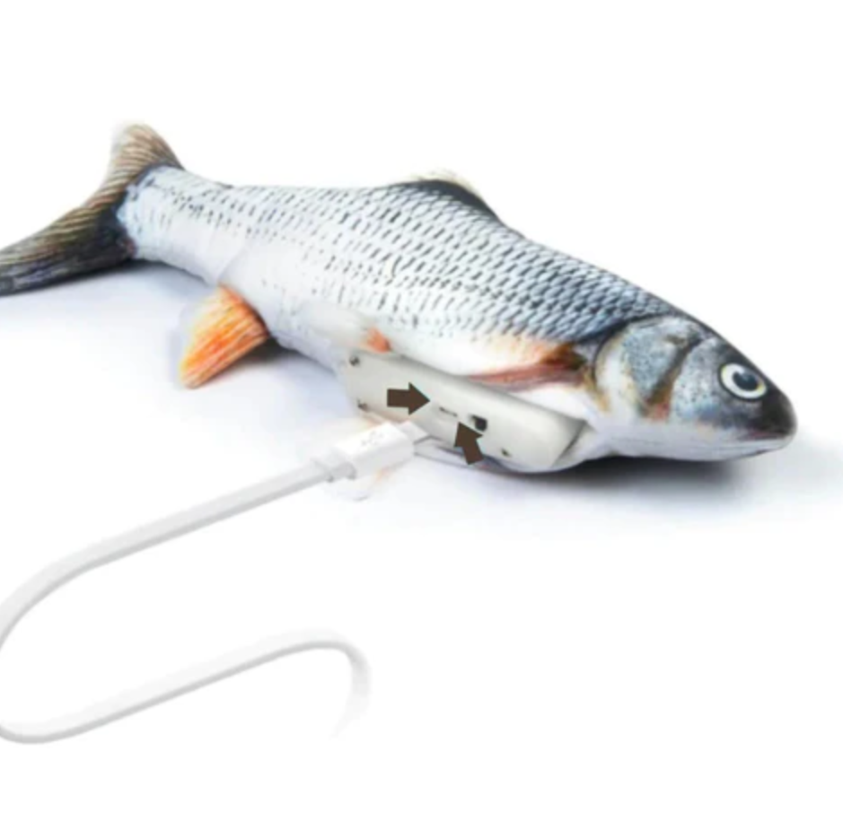 The Floppy Fish