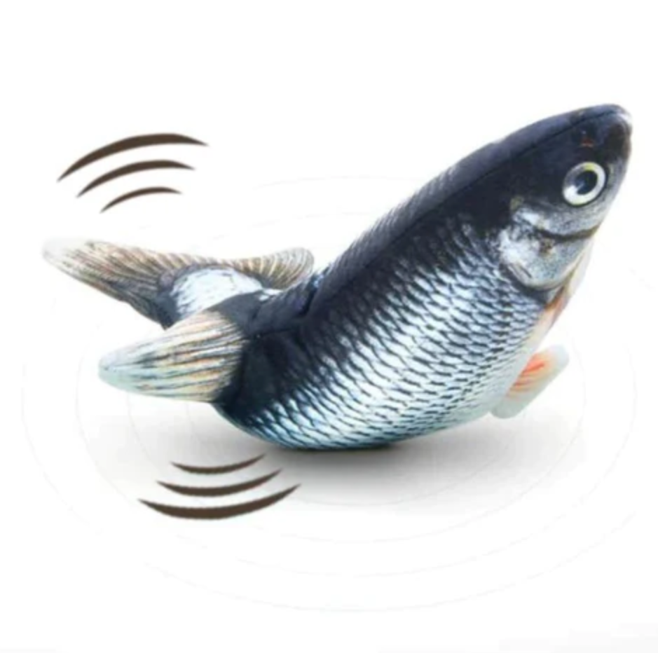 The Floppy Fish